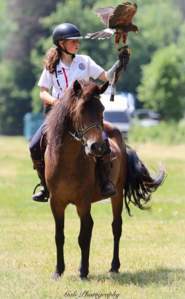 Camps jeunes Camps équitation - Ados 12 - 18 ans