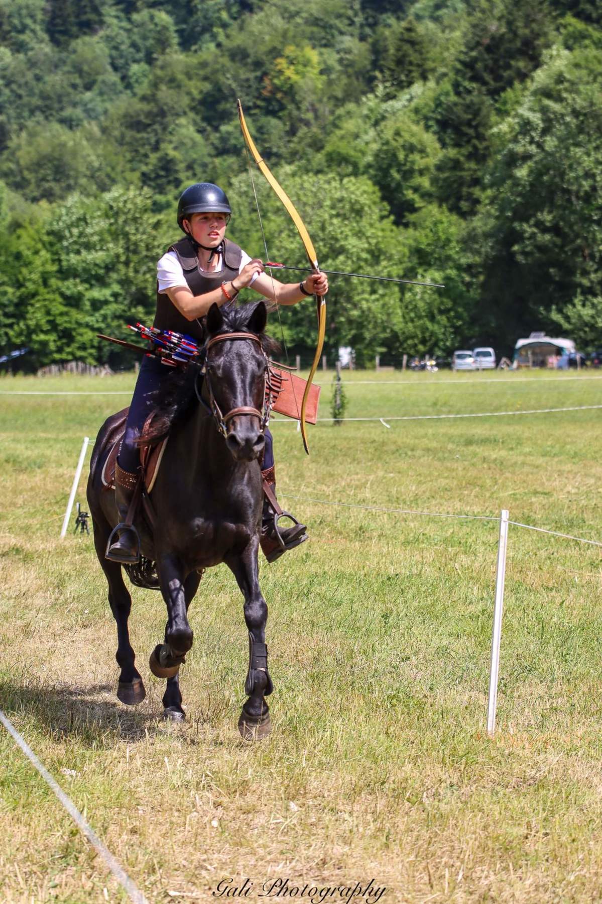 Arc Recourbé Toparchery 55" – 30-50lbs – Ambidextre – Tir à Cheval Traditionnel