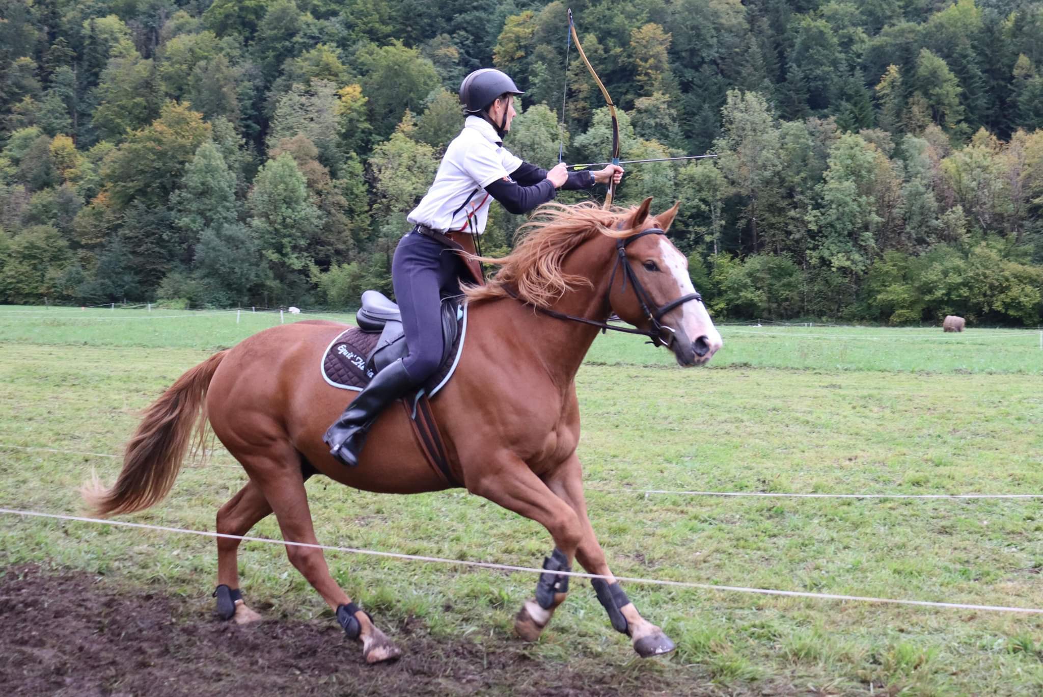 Arc Recourbé Toparchery 55" – 30-50lbs – Ambidextre – Tir à Cheval Traditionnel