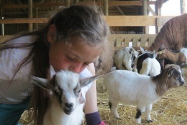 Rencontres animalières Apprenti fermier ou bébé fermier