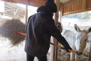 Rencontres animalières Soigneur d'un jour